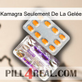 Kamagra Seulement De La Gelée new12